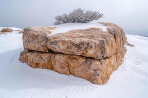 Snowy rock formation with frozen tree photo