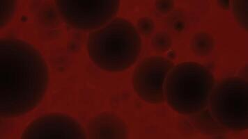 3d simulation of cells in microscopic view. Design. Red blood flow with cells, concept of medicine. video