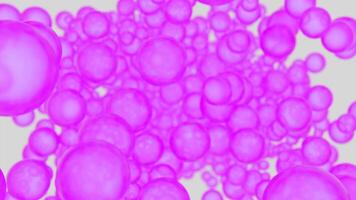 Abstract stream of small moving bright spheres on a white background. Design. Randomly flying bubbles. video