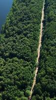 A breathtaking aerial view showcasing a lush green forest along with a beautiful pathway video