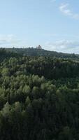 A Scenic and Picturesque View of a Lush Green Forest Accompanied by an Architectural Structure video