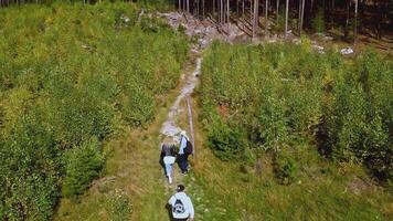 Aerial flight above people hiking along trail path in sunny day. Footage. Group of friends in summer adventure journey in green forest. video