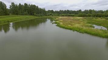 Top view of river with swamp in forest. Stock footage. Beautiful landscape with swampy terrain in cloudy weather. Mysterious landscape of swamp video