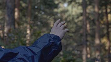 Close-up of young man holding out hand in air. Stock. Man with arm outstretched in air in forest. Man mysteriously stretches out hand in air video