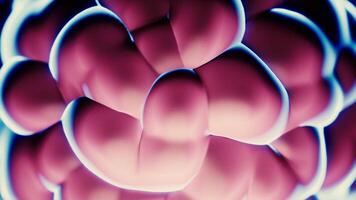 Underwater mushrooms or corals. Design. Close up of abstract visualization of marine life. video