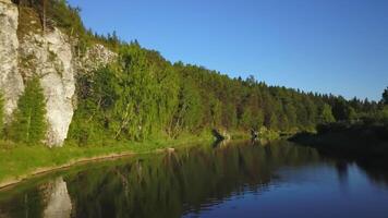 un sereno y tranquilo río fluye suavemente mediante un lozano, vibrante bosque paisaje. valores acortar video