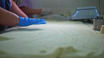 Cook works with dough in production. Clip. Cook with gloves rolls out dough in flour. Preparation of thin dough for baking at factory video