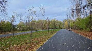 Empty autumn park. Clip. Beautiful park alley with benches on autumn cloudy day. Empty park with benches on autumn day video