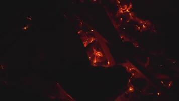 Close-up of blowing up coals in campfire. Clip. Flickering lights of smoldering campfire in nature. Blowing up wood for campfire in nature at night video