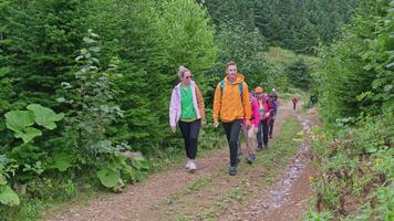 Tourist group of people is walking along road in forest. Clip. Summer hiking trip with group to forest. Group of tourists walks in green forest on summer day video