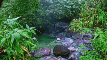 Beautiful place with clear stream flowing between stones. Clip. Turquoise water flowing in green jungle. Beautiful tropical river with rocks on summer day video