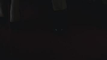 Close up of legs on red carpet. Stock footage. Concept of the official event. video