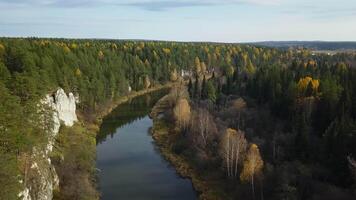asombroso y sereno aéreo ver de un hermosa río y lozano bosque en otoño. valores acortar video
