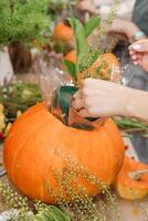 Creating a floral composition in a pumpkin. Making decor with your own hands. photo