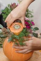 Creating a floral composition in a pumpkin. Making decor with your own hands. photo