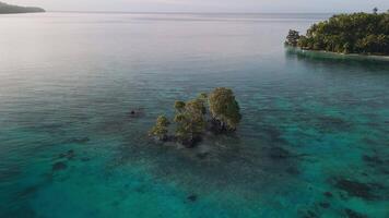 Flying around the mangroves in clear ocean in Indonesia. video