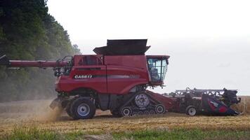 Combine working in field. Modern combine harvester working on wheat crop video