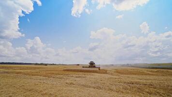 Grain harvesting combine. Landscape of endless fields under blue sky with clouds video