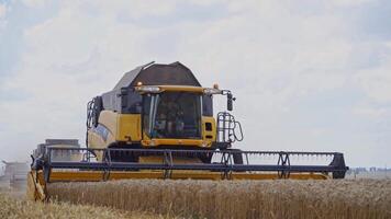 Farming and agriculture harvesting. Harvesting of wheat field with combine video