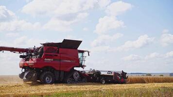Grain harvesting combine. Harvesting machine working in the field video