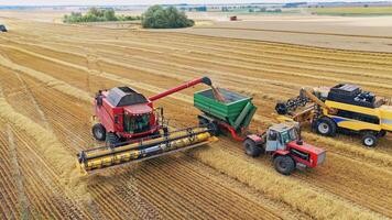 Harvesting field with combine. Aerial view on the combines and tractor working on the large wheat field video