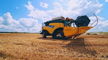 skörd maskin arbetssätt i fält. kombinera tröskor arbetssätt på de stor vete fält video
