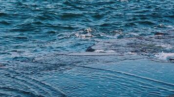 Sea water background. Sea surface summer wave background video