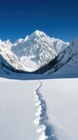 Snowy mountain trail leads through a serene winter landscape photo