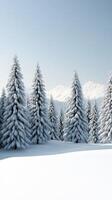 Snow-covered pine trees stand in a serene winter landscape photo