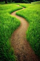 Winding path through lush green grass in a tranquil park photo