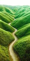 Winding path through lush green hills in a vibrant landscape photo
