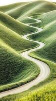Serpentine road winding through lush green hills in spring photo
