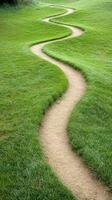 Winding pathway through lush green grass landscape photo