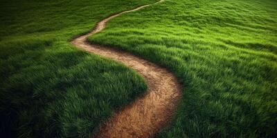 Winding dirt path through lush green grass during daytime photo