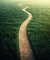Winding path through lush green grass at sunset photo