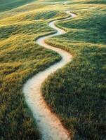 Winding path through lush green fields at sunset photo