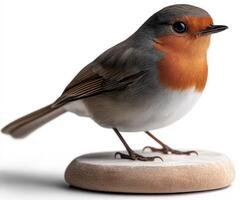 Robin perched on a smooth stone against a light background photo