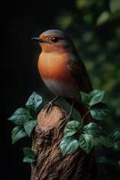 Robin perched on a tree stump surrounded by leaves photo