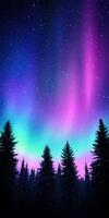 Colorful northern lights illuminate the night sky above a forest photo