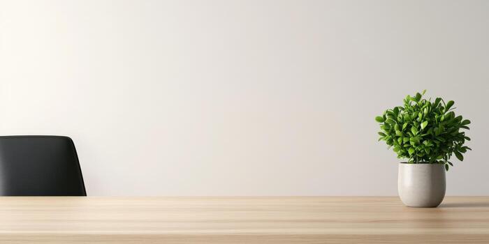 Minimalist table arrangement with a potted plant photo