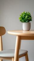 Modern wooden table and chair with potted plant decor photo