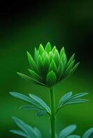 Green plant sprouting in a lush environment during spring photo