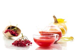 tea from ripe red viburnum isolated on white background photo