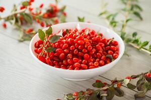 fresh ripe red goji berries in a bowl on a wooden table photo