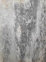 a close-up texture of aged or weathered wood. The surface features a mix of light and dark gray tones with irregular patterns and grain lines photo