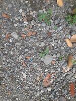 a surface covered with small rocks, gravel, and scattered pieces of debris, such as bits of brick or concrete. photo