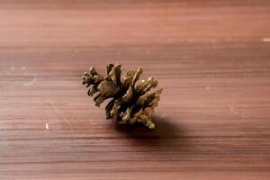 An isolated pine cone placed on a wooden table, showcasing its natural texture and intricate design. The simplicity of the scene highlights the beauty of the pine cone photo