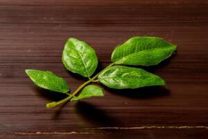 An artificial leaf placed on a wooden table, showcasing its realistic texture and vibrant green color. The leaf contrasts beautifully against the natural wood surface photo
