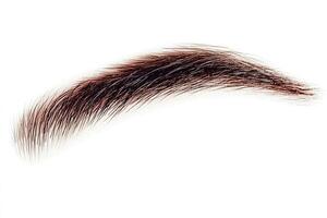 Perfect Male Eyebrow Shape Macro Shot Isolated on White Background photo