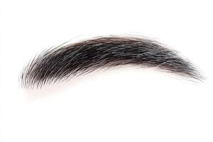 Natural Dark Eyebrow Isolated on White Background photo